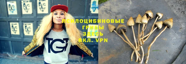 гашиш Арсеньев